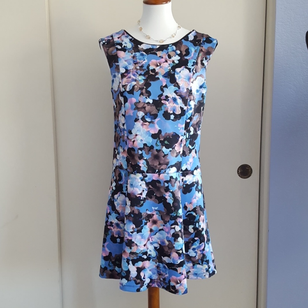 Gorgeous Cece floral drop waist dress